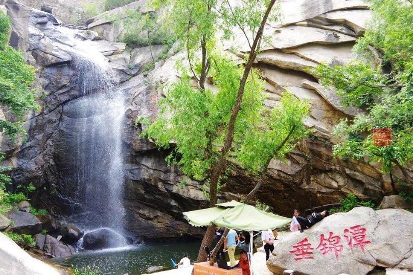 白莲花守则
